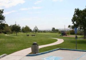 A park with grass and trees in the background.